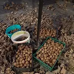 Varga Vendeghaz Totszerdahely
